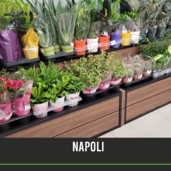 1B COPERTINA NEWS SITO